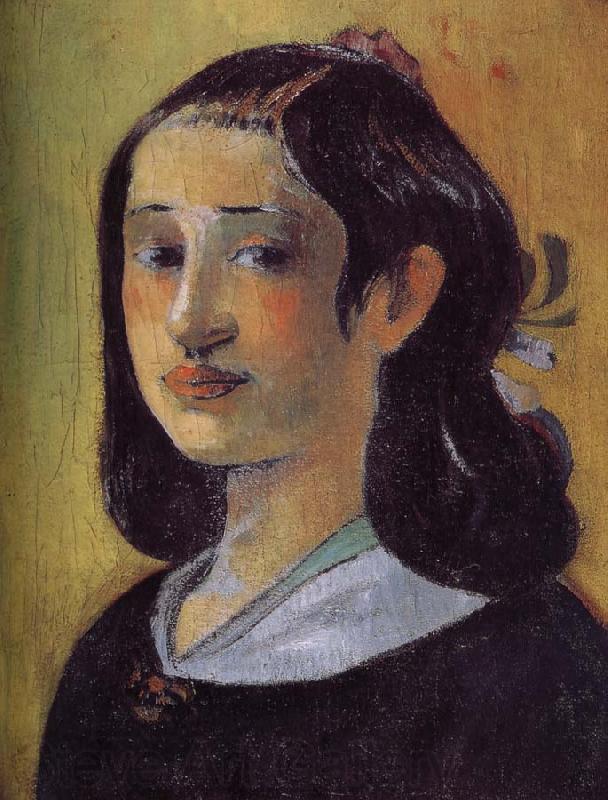 Paul Gauguin The artist s mother